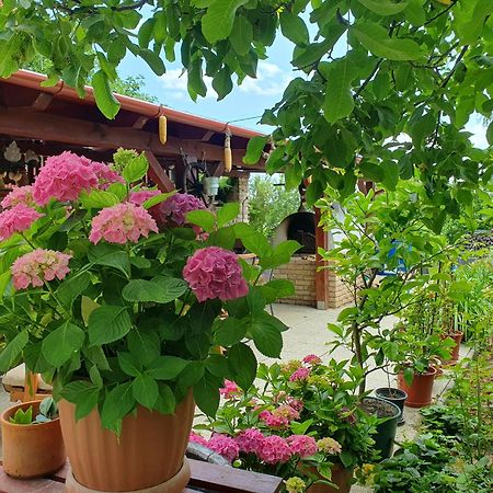 Fehér Rózsa Apartman Cserszegtomaj Exterior foto