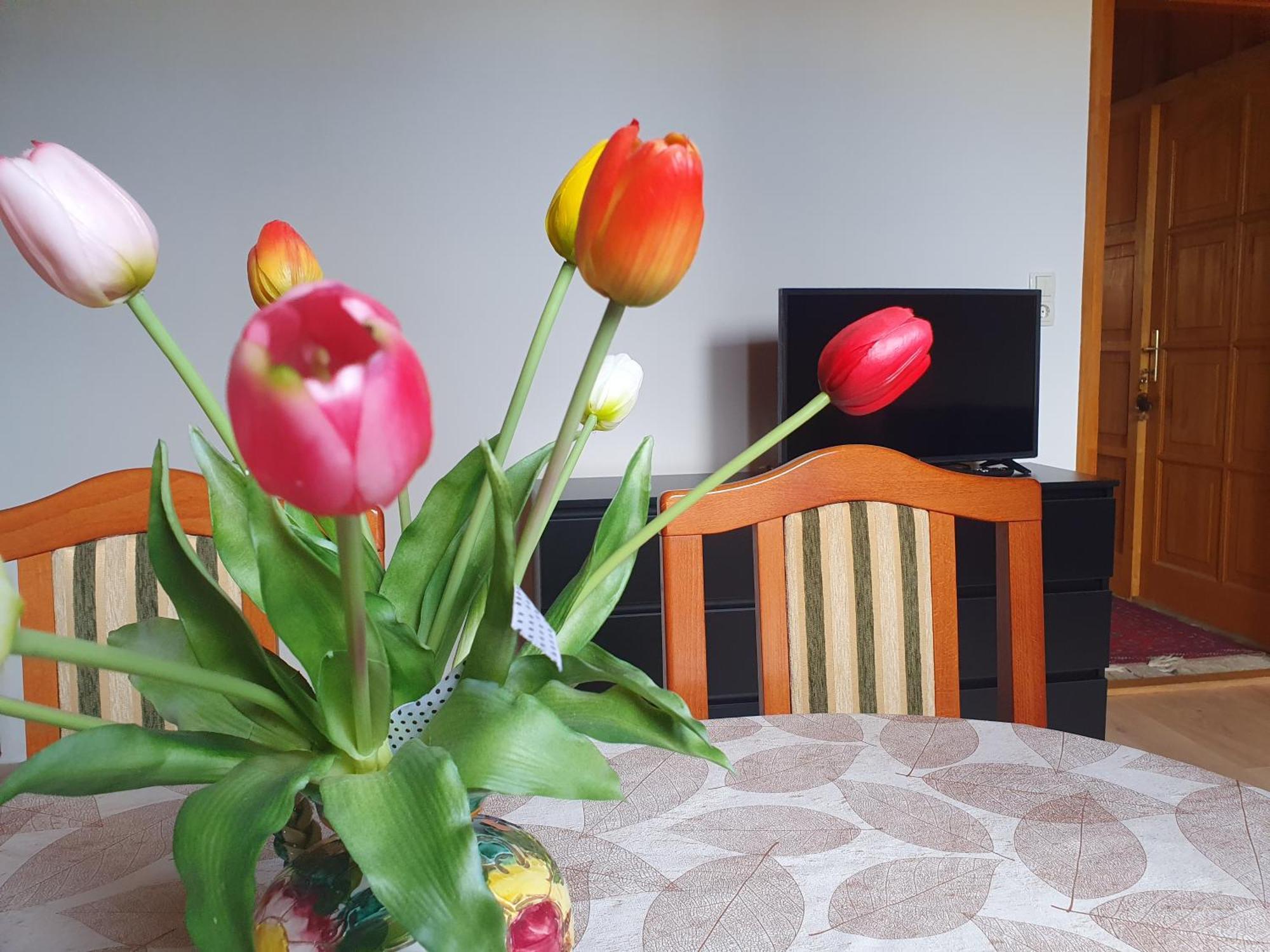 Fehér Rózsa Apartman Cserszegtomaj Exterior foto