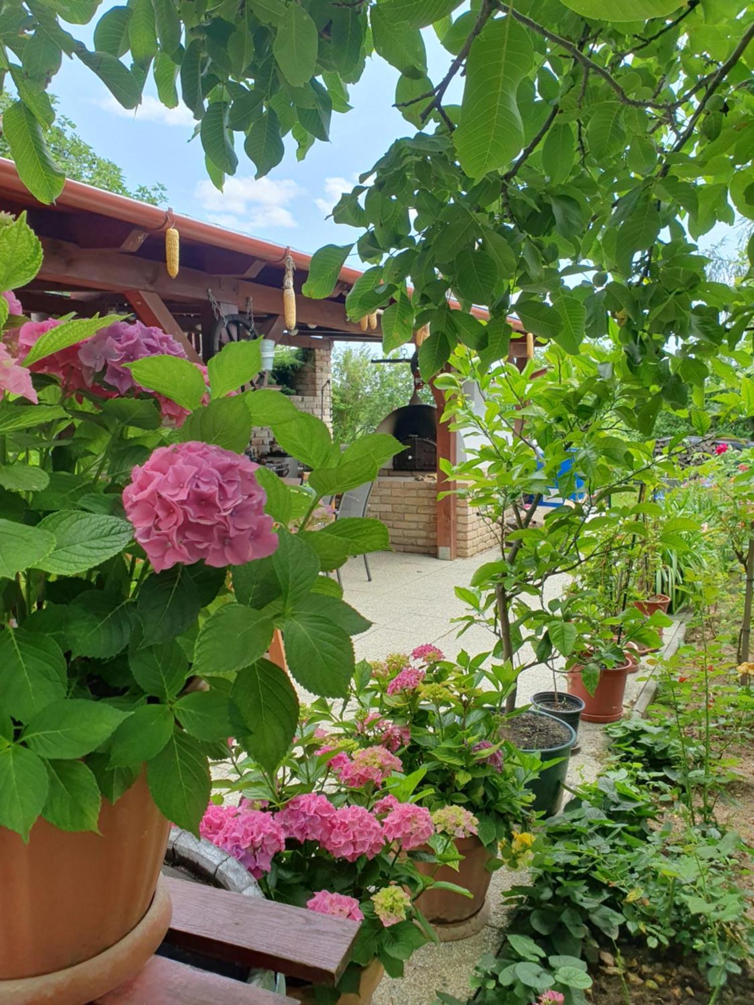 Fehér Rózsa Apartman Cserszegtomaj Exterior foto