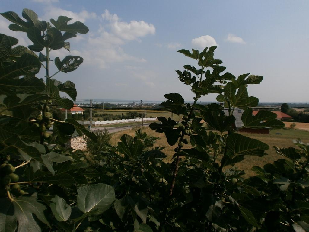 Fehér Rózsa Apartman Cserszegtomaj Quarto foto